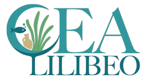 logo cealibeo
